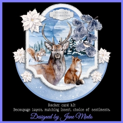 WILD CHRISTMAS rocker card
