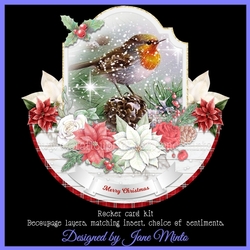 ROBIN ROCKER rocker card 1