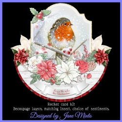 ROBIN ROCKER rocker card 3