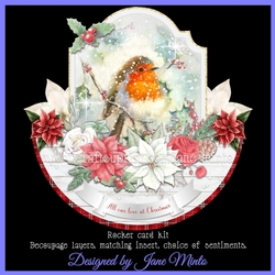 ROBIN ROCKER rocker card 7