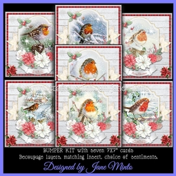 CHRISTMAS ROBIN bumper kit - 7 cards
