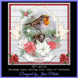 CHRISTMAS ROBIN 1