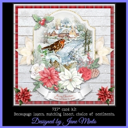CHRISTMAS ROBIN 2