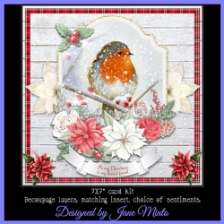 CHRISTMAS ROBIN 3