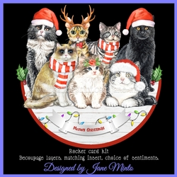 CHRISTMAS CATS rocker card