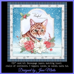 CHRISTMAS GINGER CAT