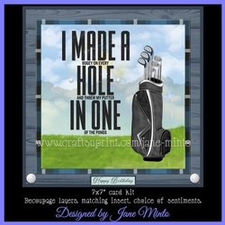 HOLE IN ONE