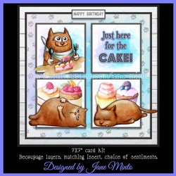 JUST HERE FOR THE CAKE