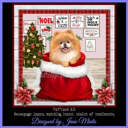 CHRISTMAS POMERANIAN mini kit