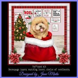 CHRISTMAS POODLE mini kit