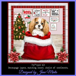 CHRISTMAS SPANIEL mini kit