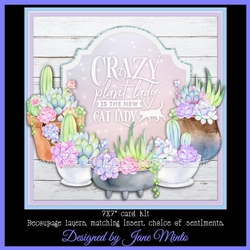 CRAZY PLANT LADY mini kit