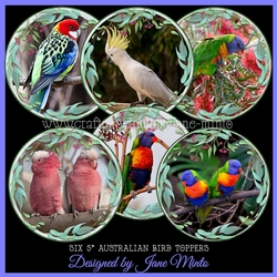 AUSTRALIAN BIRD TOPPERS