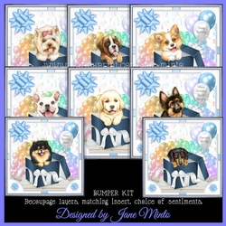GIFT BOX PUPPIES