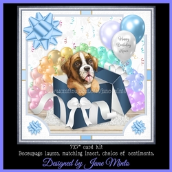 GIFT BOX BOXER