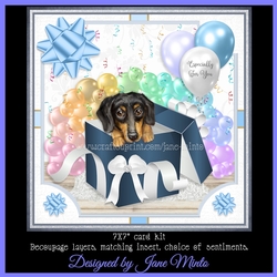 GIFT BOX DACHSHUND