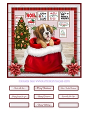 CHRISTMAS PUPPY - BOXER - quick card