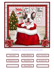 CHRISTMAS PUPPY - B&W FRENCHIE - quick card
