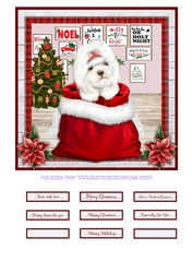 CHRISTMAS PUPPY - MALTESE - quick card