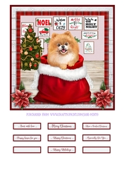 CHRISTMAS PUPPY - BROWN POMERANIAN - quick card