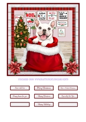 CHRISTMAS PUPPY - WHITE FRENCHIE - quick card