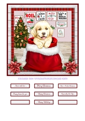 CHRISTMAS PUPPY - GOLDEN RETRIEVER - quick card