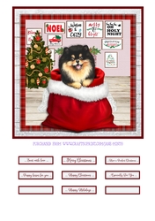 CHRISTMAS PUPPY - POMERANIAN 2 - quick card
