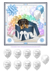 DACHSHUND - GIFT BOX PUPPY