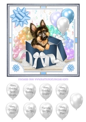 GERMAN SHEPHERD - GIFT BOX PUPPY