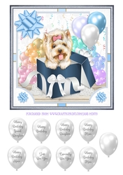 YORKIE - GIFT BOX PUPPY