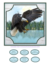 EAGLE quick card