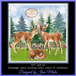 WILDERNESS DEER MINI KIT