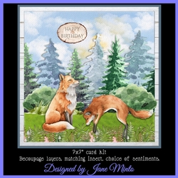 WILDERNESS FOXES MINI KIT