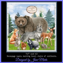 WOODLAND FRIENDS MINI KIT