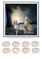 WILD WOLVES quick card