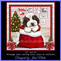 CHRISTMAS LABRADOODLE
