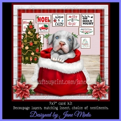 CHRISTMAS PITBULL 2