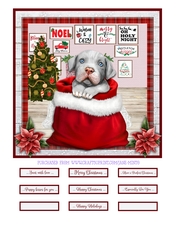 CHRISTMAS PITBULL 2 quick card