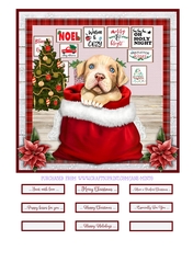 CHRISTMAS PITBULL quick card