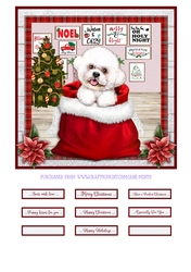 CHRISTMAS BICHON FRISE quick card
