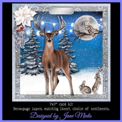 A WINTERS NIGHT