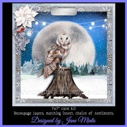 A WINTERS NIGHT - OWL