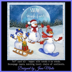 SNOW MUCH FUN 7x7
