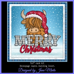 CHRISTMAS COO 3