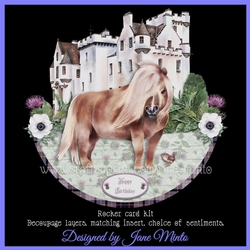 SHETLAND PONY rocker card