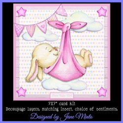 BABY BUNNY mini kit