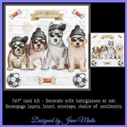 COOL DOGS mini kit