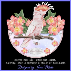 COCKATOO rocker card