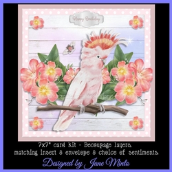 COCKATOO mini kit
