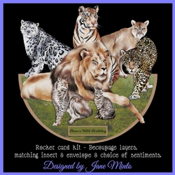 THE WILD ONES rocker card